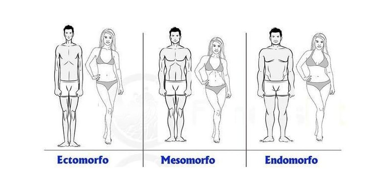 Tipos de metabolismo